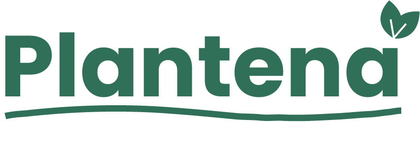 Plantena